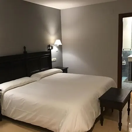 Hotel Hotel Ribera Del Chicu 3*