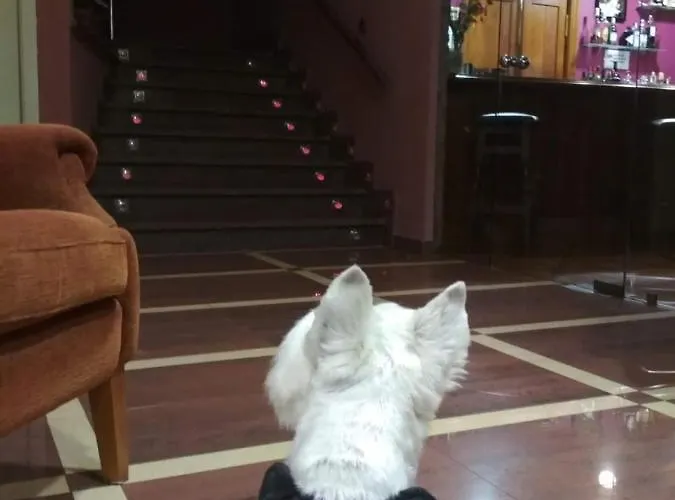 Hotel Ribera Del Chicu