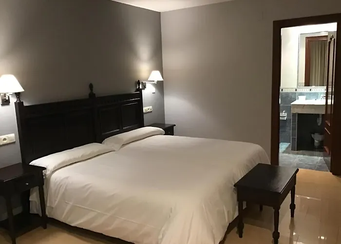 Hotel Hotel Ribera Del Chicu 3*