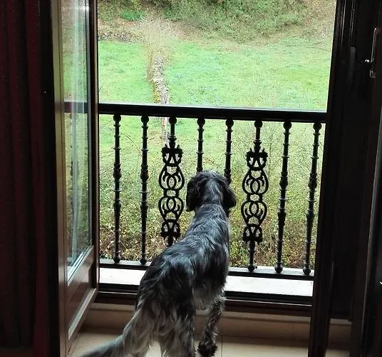 Hotel Ribera Del Chicu