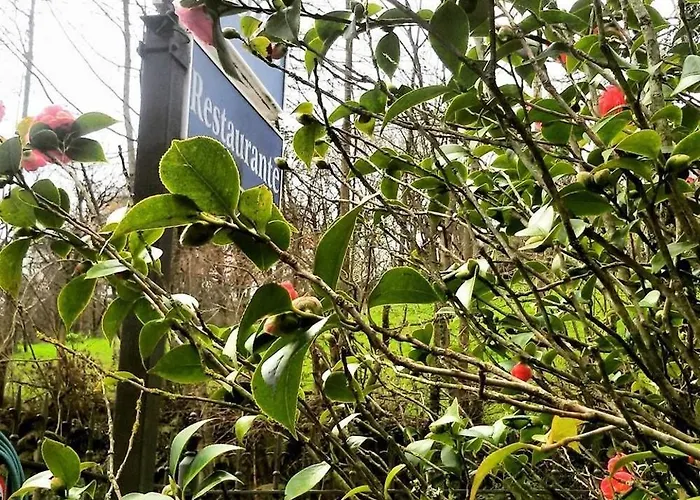 Hotel Ribera Del Chicu